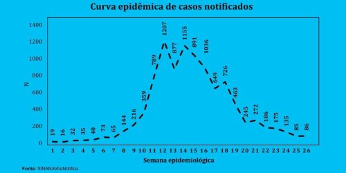 Divulgação
