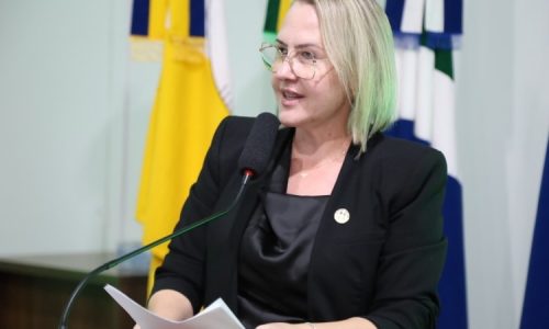 Liandra pede ampliação do itinerário do transporte coletivo na Cidade Jardim II