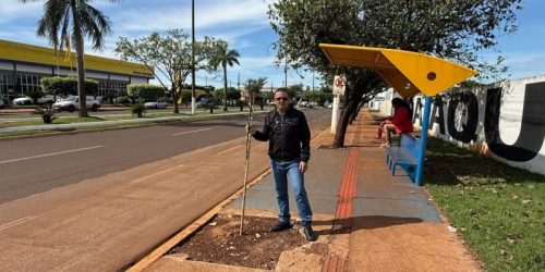 Após fiscalização de Inspetor Cabral, MP cobra esclarecimentos sobre contratos de arborização em Dourados