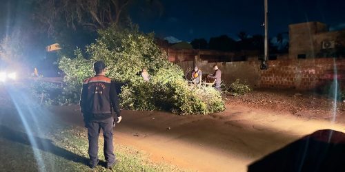 Ventos de até 80 km/h atingiram Dourados e prefeitura conduziu ações rápidas para atendimento- Divulgação/ Defesa Civil
