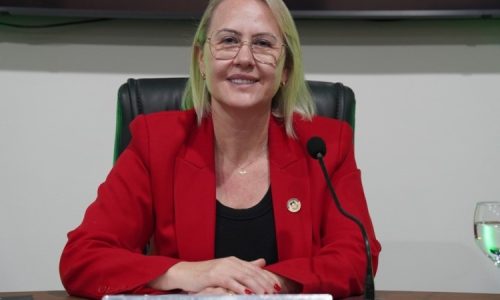 Liandra reforça pedido de melhorias no trânsito de Dourados