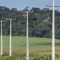 Energia instável prejudica comunidade rural em Laguna Carapã