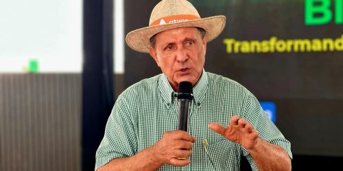 Divulgação