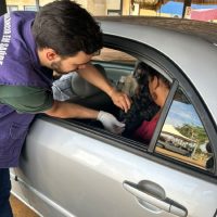 CCZ promove drive-thru de vacinação antirrábica no dia 12 de setembro