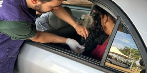 Equipes do CCZ vacinaram 1.718 animais em drive-thru sediado na Prefeitura de Dourados – Foto: Divulgação/ CCZ