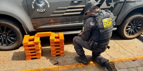 Passageiro é Preso com Maconha em Vista Alegre ao Tentar Transportar Droga para Campo Grande