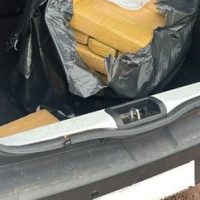 PF apreende 31 kg de drogas e realiza prisão em MS