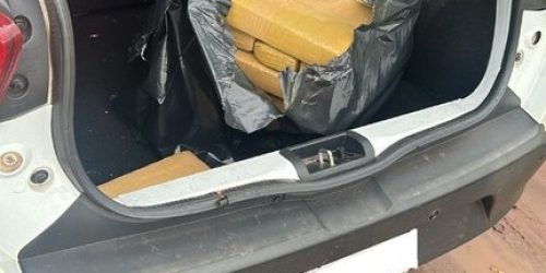 PF apreende 31 kg de drogas e realiza prisão em MS