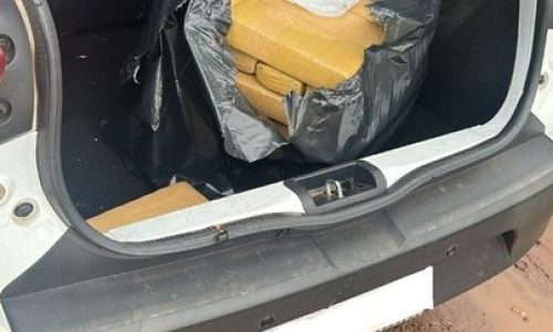 PF apreende 31 kg de drogas e realiza prisão em MS