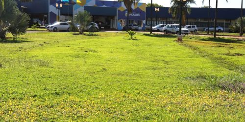 Fora do CAUC depois de corrigir falta de prestação de contas da gestão passada, Prefeitura Dourados já pode receber recursos federais. Foto: A. Frota