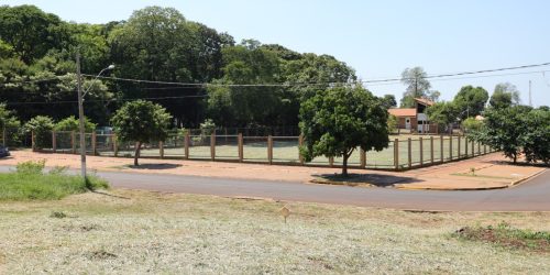 Trabalhadores concentram esforços na limpeza e revitalização de toda área da Feira Livre – Foto: A. Frota