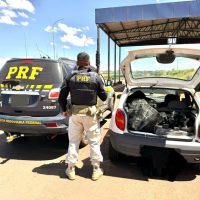 PRF apreende cigarros contrabandeados em Rio Brilhante MS