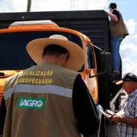 Seminário vai discutir combate ao uso de agrotóxicos ilegais e transporte irregular de insumos