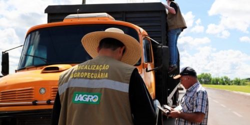 Seminário vai discutir combate ao uso de agrotóxicos ilegais e transporte irregular de insumos