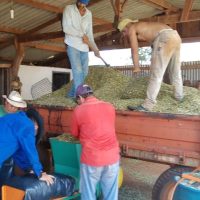 Foto: Escritório da Agraer de Angélica