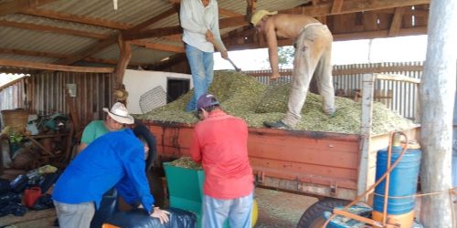 Foto: Escritório da Agraer de Angélica