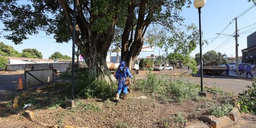 Uma das equipes da Prefeitura está concentrada no entroncamento das ruas General Osório com Monte Castelo – Foto: A. Frota