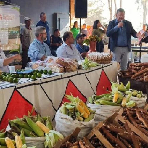 Programas de compras públicas aumentam a renda de agricultores familiares em até 106%, aponta Ipea