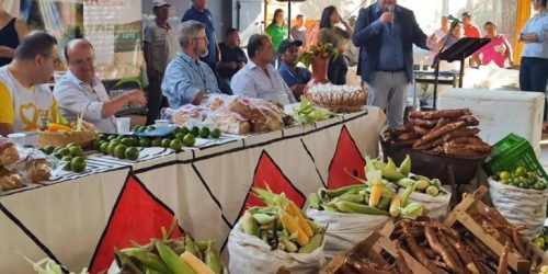 Estudo do Ipea Revela Impacto Positivo das Compras Públicas na Renda de Agricultores Familiares