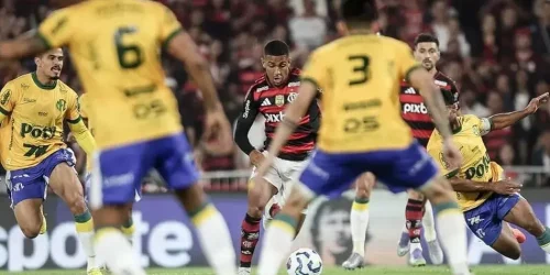 Foto: Gilvan de Souza/Flamengo
