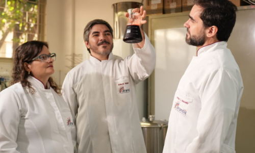 Programa Centelha apoia inovação no Estado e transforma microrganismos em corante natural industrial