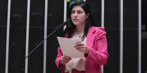 Chris Tonietto, relatora do projetoFoto: Bruno Spada/Câmara dos Deputados