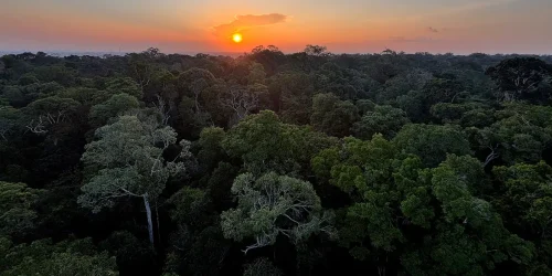 Foto: Tânia Rêgo/Agência Brasil