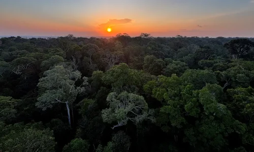 Foto: Tânia Rêgo/Agência Brasil