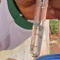 Foto: Flávio Verão/ Assecom