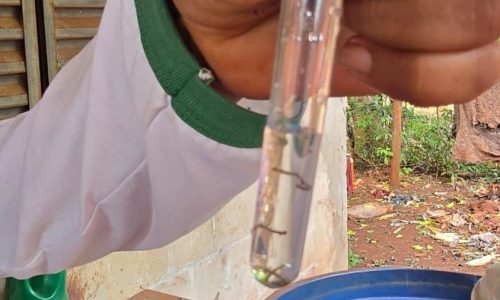 Foto: Flávio Verão/ Assecom