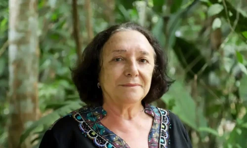 Érico Xavier/Fundação de Amparo a Pesquisa do Estado do Amazonas