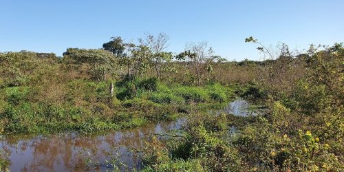 Preservação da fauna, da flora e mananciais fazem parte da política de governo da gestão Marçal Filho. Divulgação/Assecom