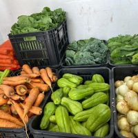 Secretaria de Agricultura Familiar lança edital para compra de alimentos da agricultura familiar para a merenda escolar