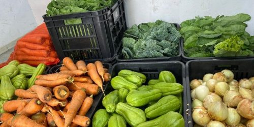 Secretaria de Agricultura Familiar lança edital para compra de alimentos da agricultura familiar para a merenda escolar