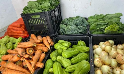 Secretaria de Agricultura Familiar lança edital para compra de alimentos da agricultura familiar para a merenda escolar