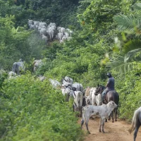 Foto: Bruno Peres/Agência Brasi