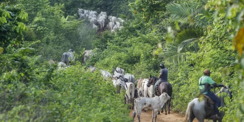 Foto: Bruno Peres/Agência Brasi