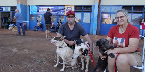 Casal que resgata animais e coloca para adoção cadastrou 7 dos 11 pets que mantém na residência – Foto: A. Frota