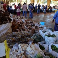 Chuvas adiam recebimento de alimentos do 1º PAA Indígena Municipal do Brasil