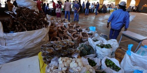 Chuvas adiam recebimento de alimentos do 1º PAA Indígena Municipal do Brasil