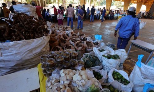 Chuvas adiam recebimento de alimentos do 1º PAA Indígena Municipal do Brasil