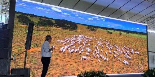 Foto: Rosana Siqueira