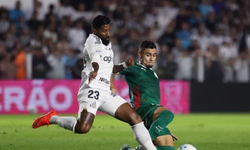 Palmeiras fica no zero com o Santos e Flamengo agradece