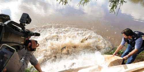 Lago recebeu 2,5 toneladas de peixe e regras para pescaria serão fiscalizadas com rigor. Foto: A. Frota