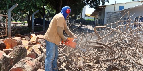 Supressão de árvores com risco de queda vai interromper o trânsito na Avenida Hayel Bon Faker na tarde deste sábado. Foto: A. Frota