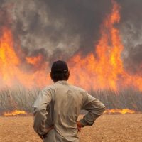 Secretaria de Saúde e universidades públicas debatem saúde e mudanças climáticas