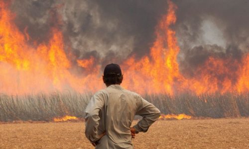 Secretaria de Saúde e universidades públicas debatem saúde e mudanças climáticas