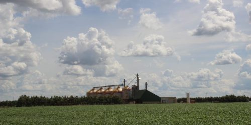 Foto: Mairinco de Pauda/Semadesc