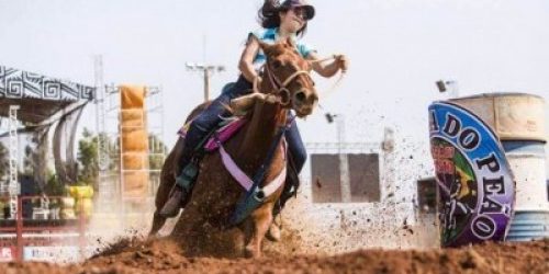 Foto: Ilustração (www.sumetal.com.br)