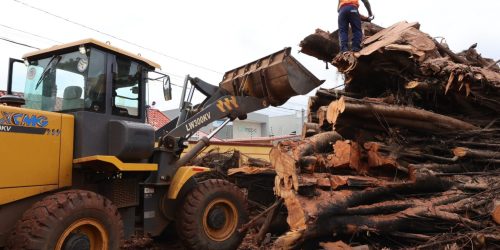 As ações iniciaram nesta segunda-feira, após o planejamento completo de equipamentos e equipes para os trabalhos e devem ser finalizadas ainda nesta semana. Foto – A. Frota